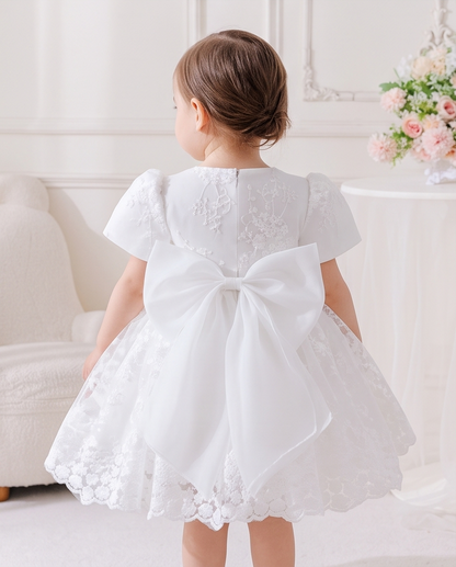 Close-up of floral lace bodice and short sleeves