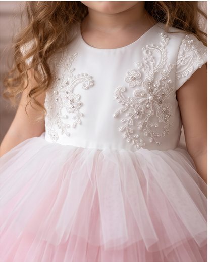 Blush Blossom dress neckline and embroidered bodice above the pink and white tulle tiers.